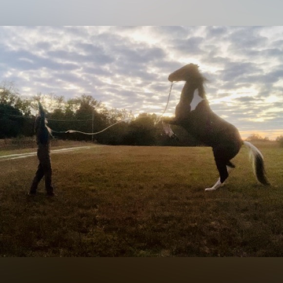 Meet your Posher, - Picture 2 of 3